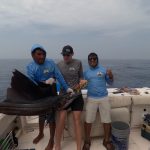 IMG-20251009-WA0138